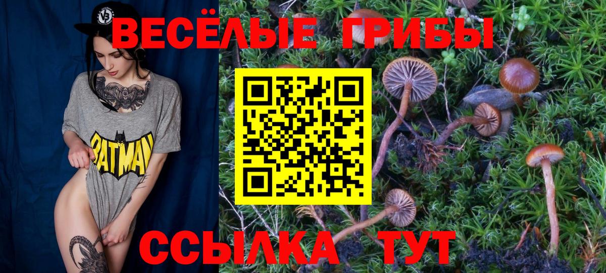 Галлюциногенные грибы мухоморы  Вход с VPN  Южно-Сахалинск 